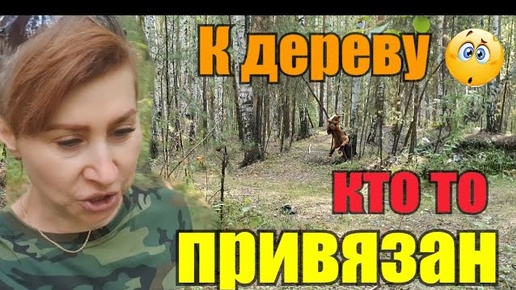 Я рукоJоп сотый уровень✌//В лесу привязан кто то//Люди ищут золотишко//Я чернику