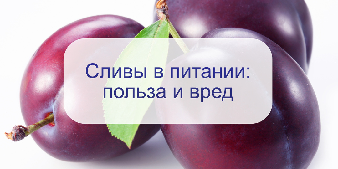 Диетолог назвала 10 полезных свойств сливы в отношении организма: сейчас самый сезон