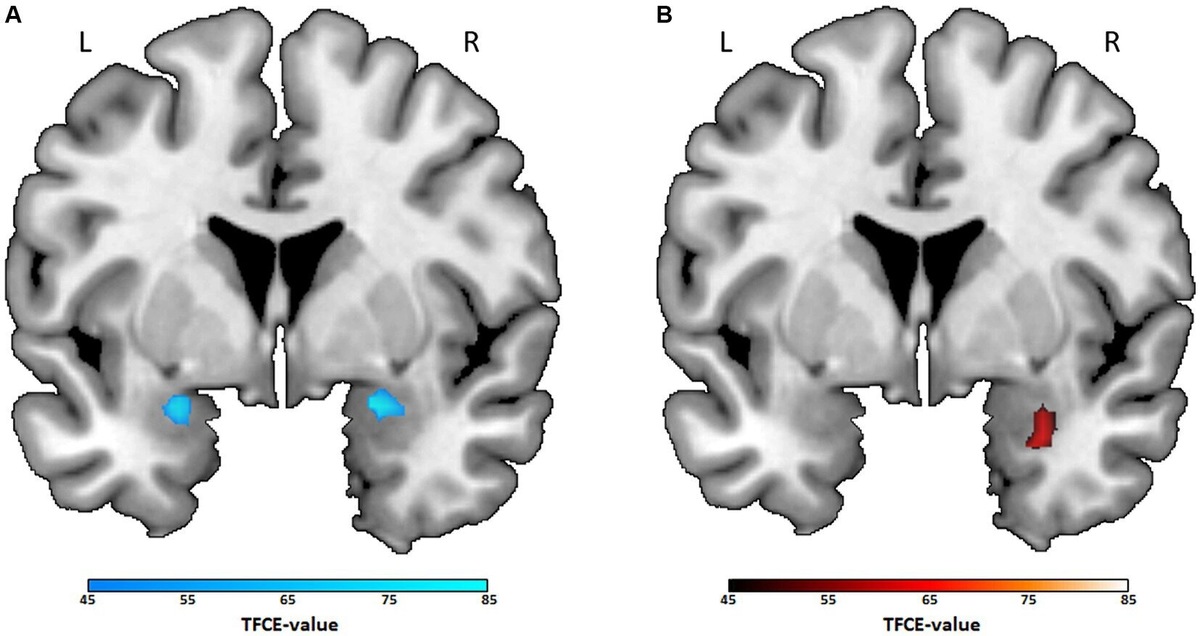    Frontiers in Behavioral Neuroscience