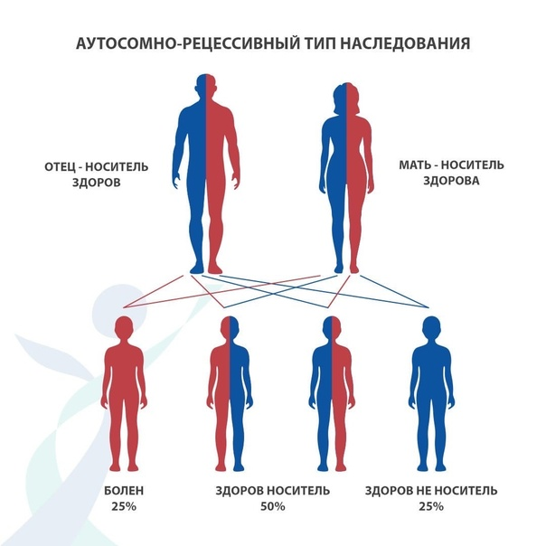 Родители были здоровы, но оба являлись носителями патологического гена. У детей была вероятность не унаследовать заболевание, но как минимум двоим не повезло. Сестра Людвика тоже болела респираторными заболеваниями, но прожила до 47 лет, что не очень типично для муковисцидоза. Фредерик и Эмилия умерли молодыми, а Изабелла дожила до старости без проявлений заболевания. 