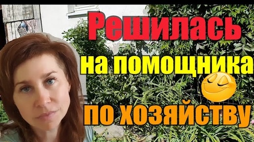 Сажаю растения в пруд//Соблазнила мужа🥰//Готовлю обед//Огородничаю