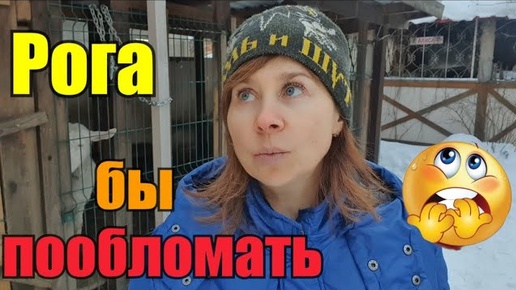 Наташа в панике//Очередная бойня//Работаю на огороде//Чем балую внучку//Хандра или депрессия