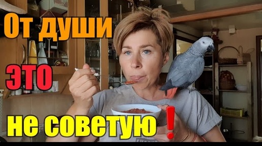 Семья в сборе》Бухтю на всё》Есть чем торговать👍》Еду готовлю прикольную👌