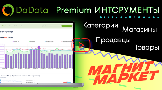 Обзор инструментов аналитики DaData - премиального сервиса аналитики маркетплейса МАГНИТ МАРКЕТ