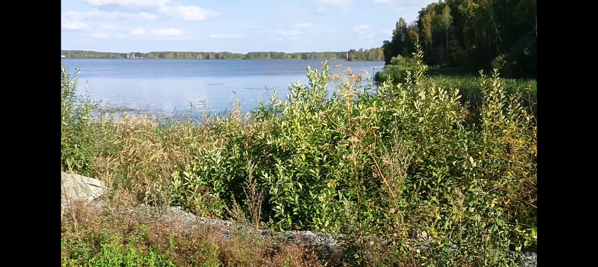 Берег Рефтинского водохранилища.