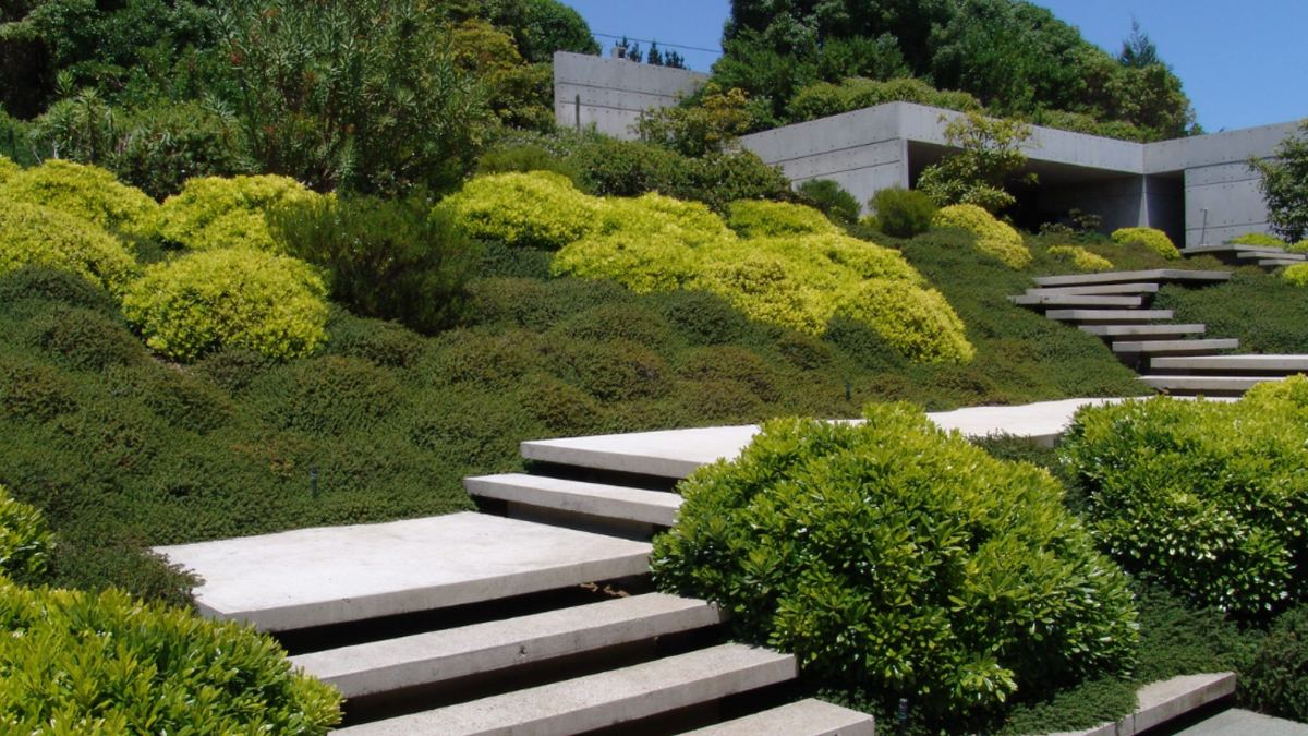 Как укрепить склон на участке своими руками