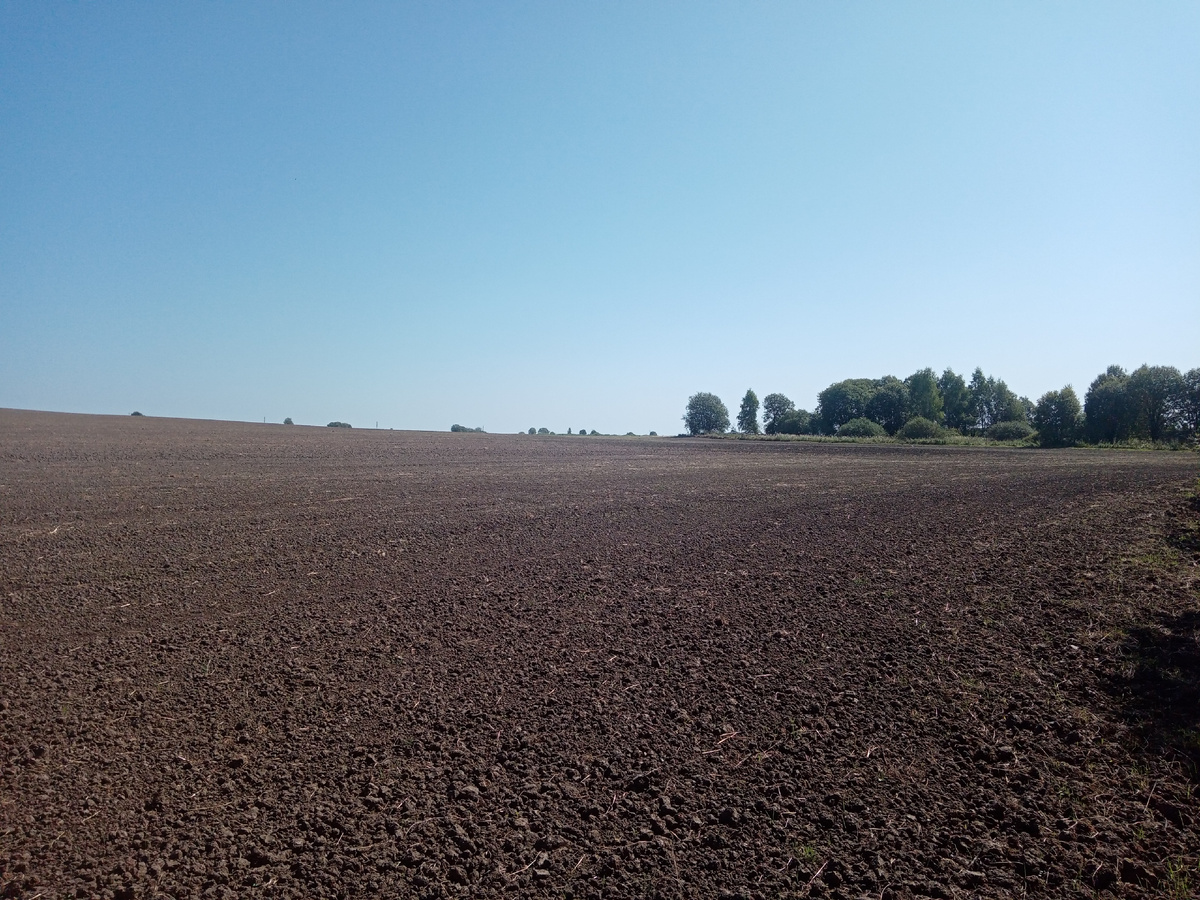 Когда-то перспективное местечко для поиска