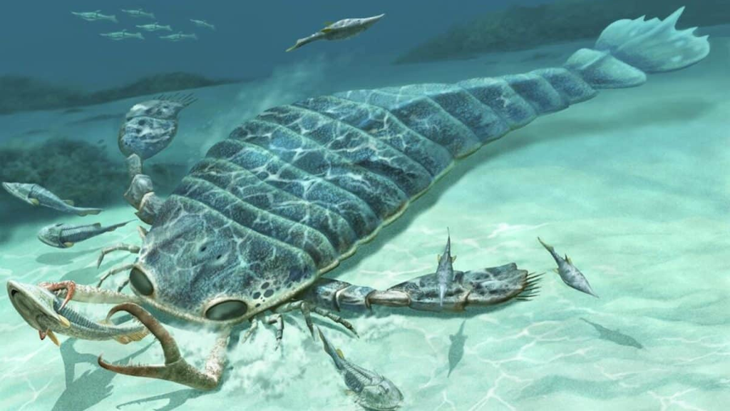 Jaekelopterus rhenaniae достигал в длину 2,5 метров