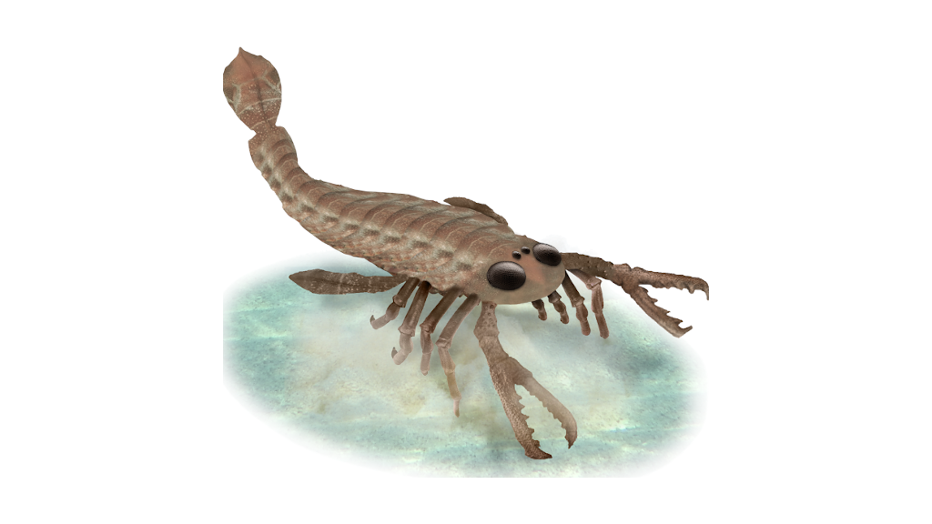 С вооружением у эвриптерид всё было нормально.