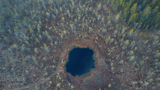 Крошечное голубое озеро в лесах Ленобласти