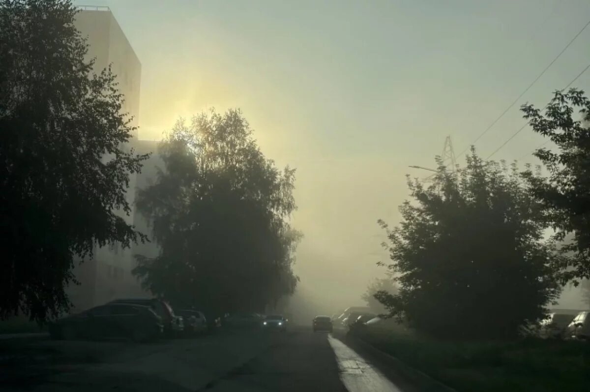    Небо над Новосибирском затянуло плотным туманом утром 28 августа