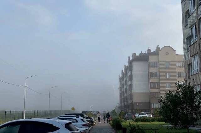    Фото: "АиФ-Новосибирск"