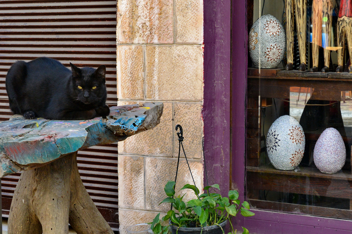 Рэйнбоу-стрит, Амман