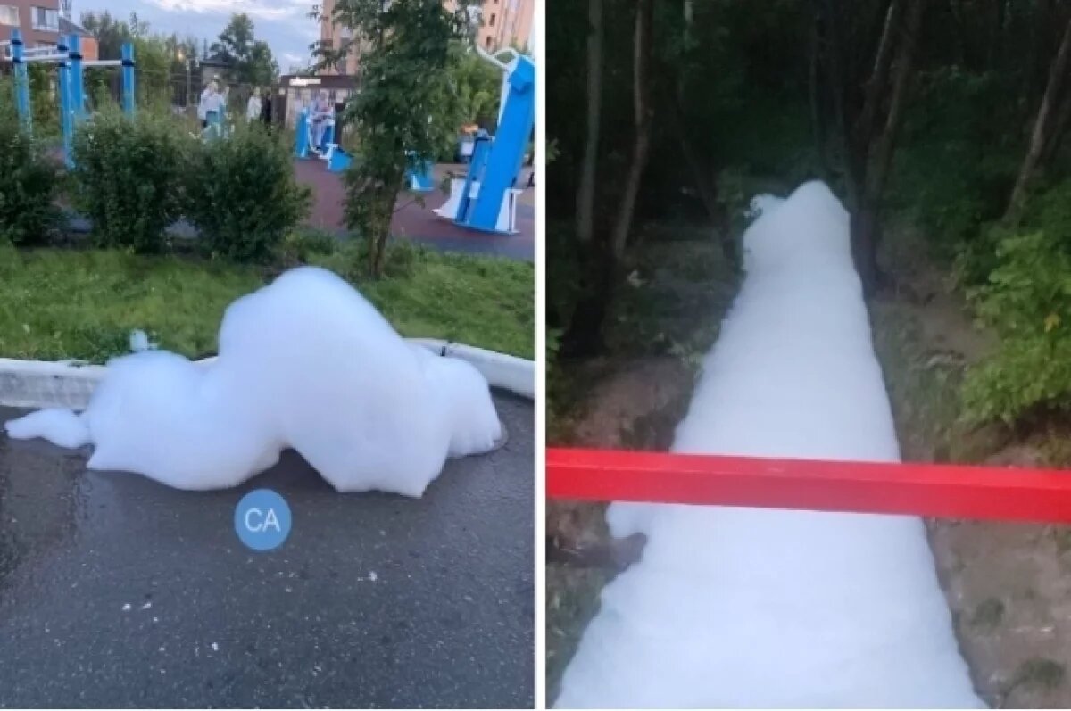    Новосибирский Академгородок утопает в химической пене: жители бьют тревогу