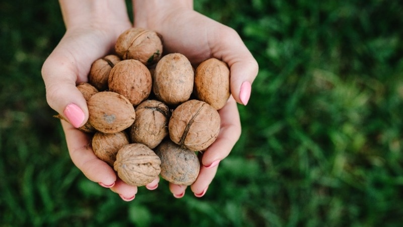 Фото: @sobolevskyi / ru.freepik.com