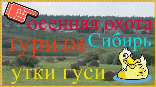 осенняя охота на перелётную птицу осмотр Заднего озера возле села Баженово Омская область дичь в камышах поиск мест перелёта дикая утка