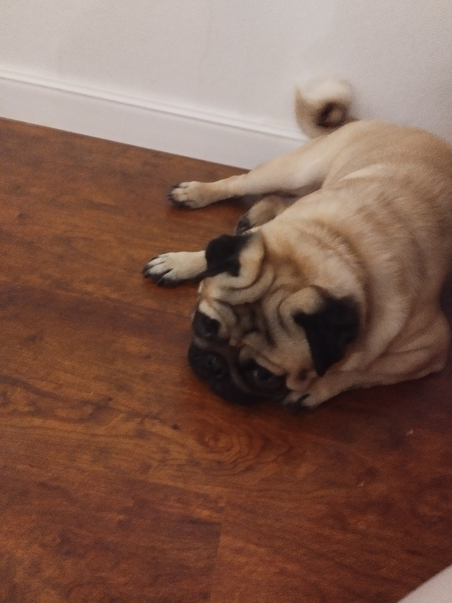 Жан. В печали. 