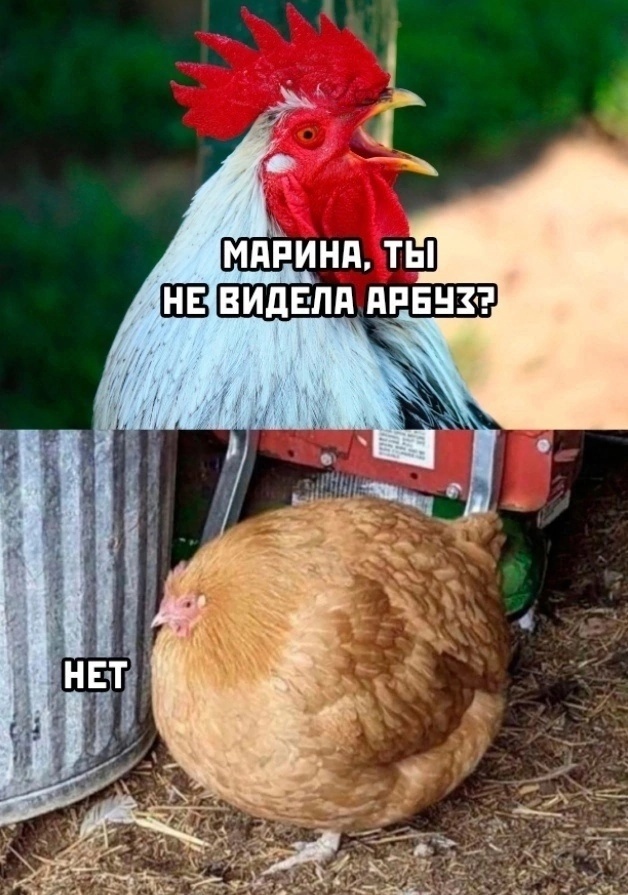 фото из открытого доступа