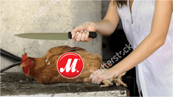 Картинка – shutterstock.com, ID36031570 P.S.: М.Видео, без обид: сравнение не с 🐔, а с золотыми 🥚