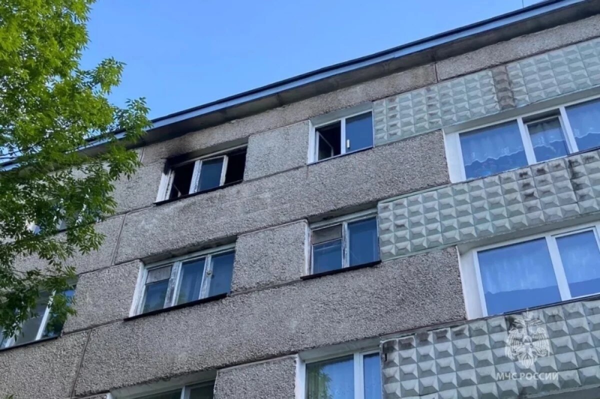    В столице ЕАО сгорела квартира, погибла домашняя кошка