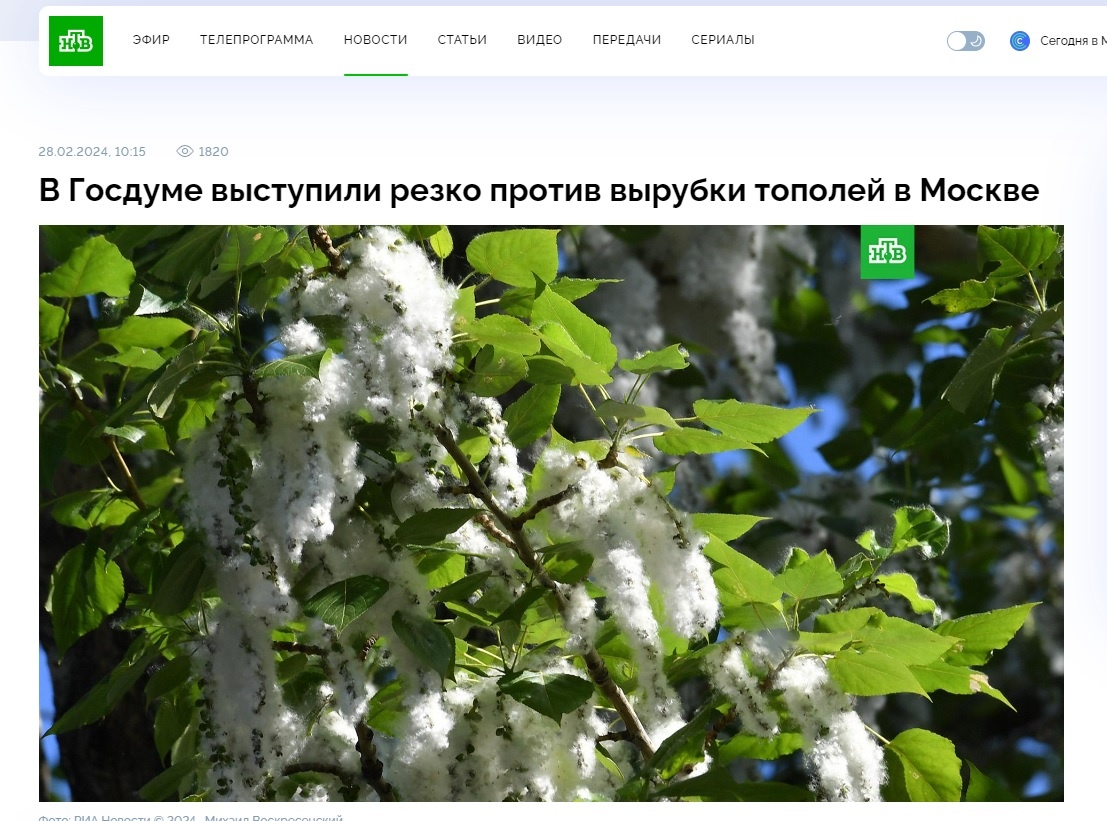 Не шумело ничего