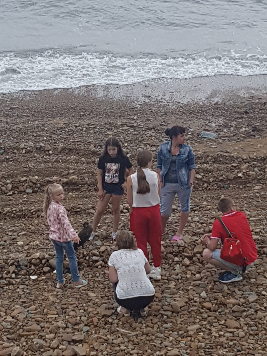 со стороны  происходящее выглядело так.