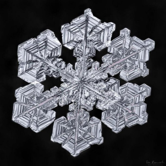 Снежинка под микроскопом