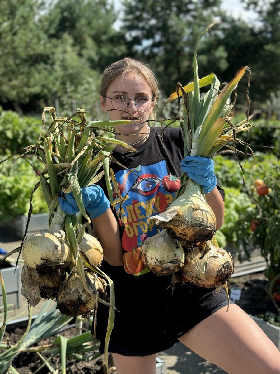 Наш урожай АЙЛСА ГРЕЙГ в 2004 