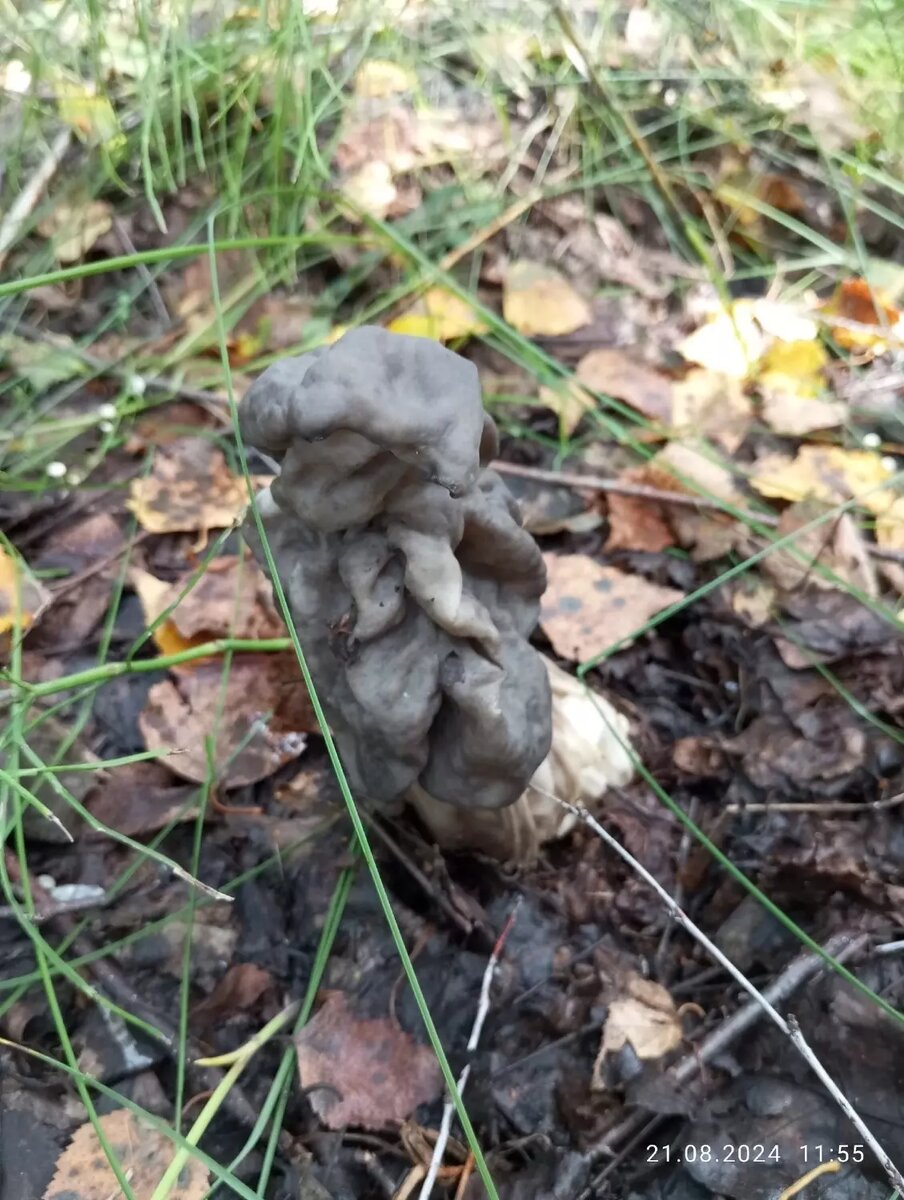     Источник: Нетипичная Тюмень