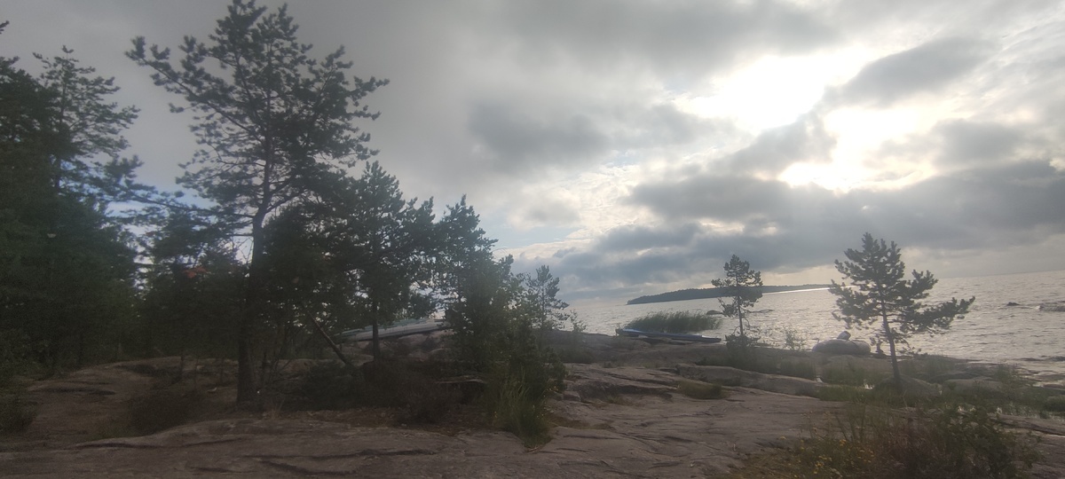 Добавьте описание