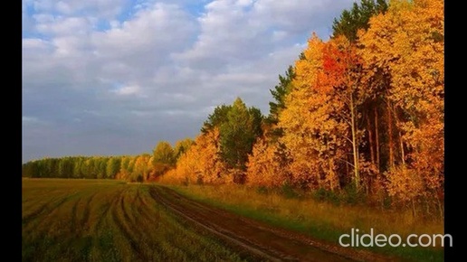 Осень в России