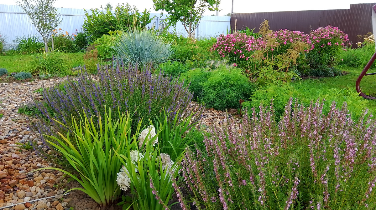 Растения на фото на мой взгляд великолепны, но как быть с забором? А еще угол качели попал в кадр... Самые же внимательные разглядят металлический прут в переднем левом углу, поперек щебеночной отмостки. Не буду интриговать, это заземление газового котла😂