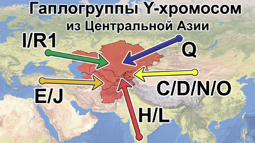 Video herunterladen: Гаплогруппы Y-ДНК из Центральной Азии. Филогения Y-хромосом в свете новых данных