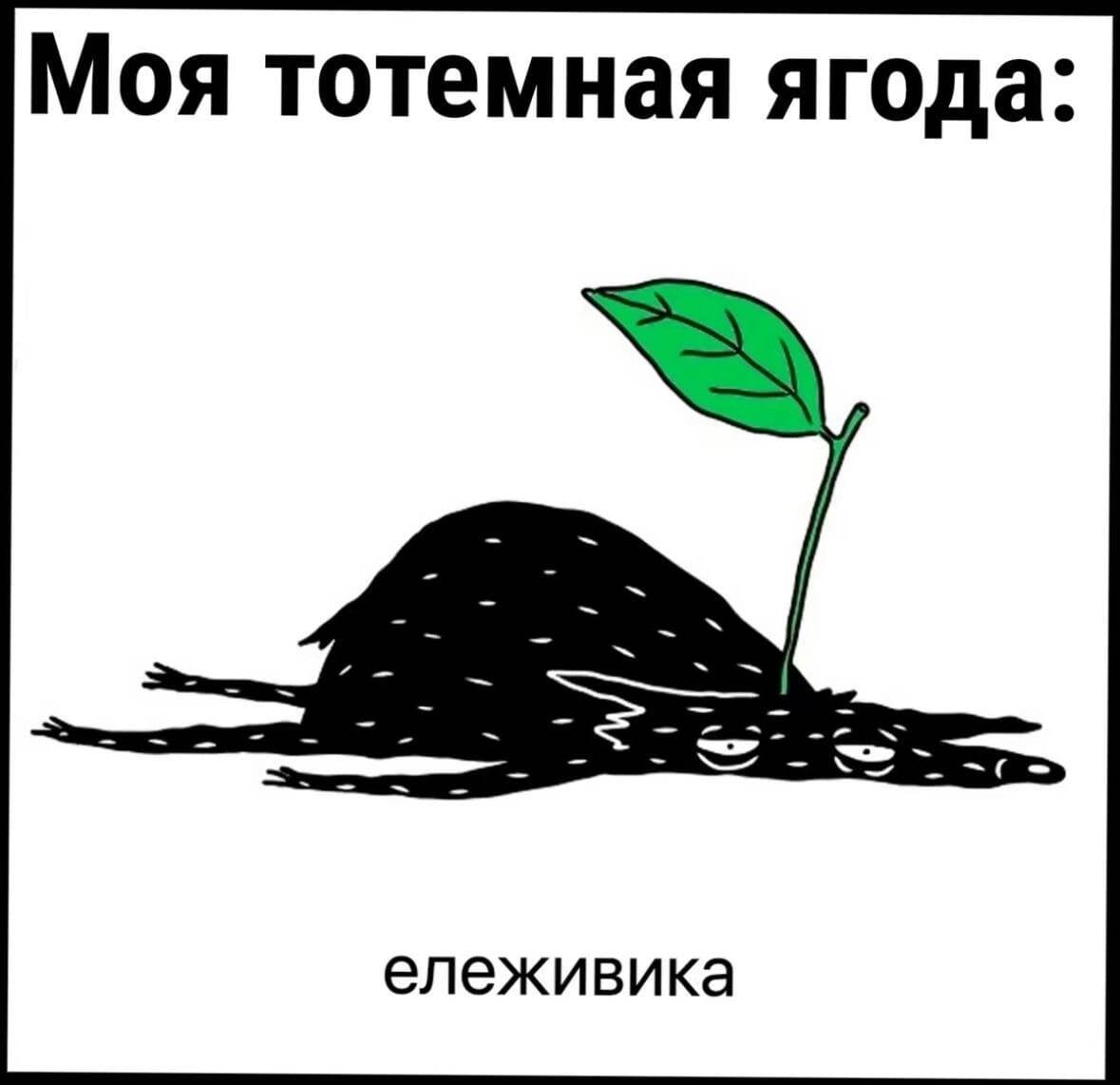 вот как-то так пока по ощущениям (фото из сети интернет)