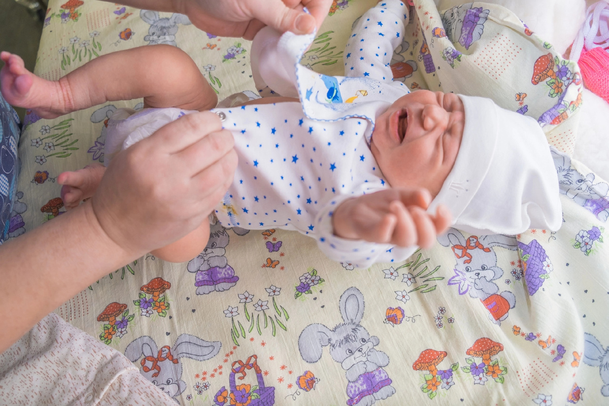 Наша Пупусика