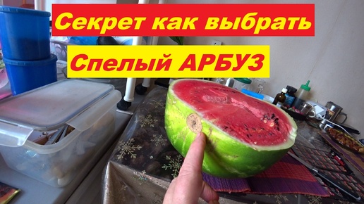 Секрет как выбрать спелый арбуз.