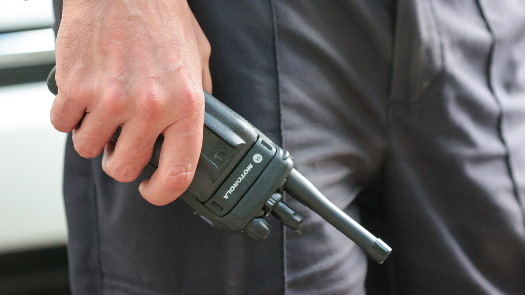    Фото: Belkin Alexey/Globallookpress