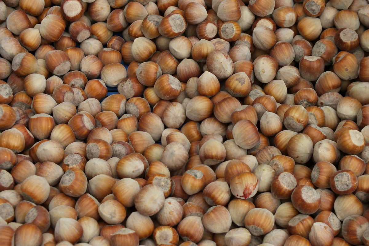 Фото: Victor Lisitsyn, Виктор Лисицын/Global Look Press