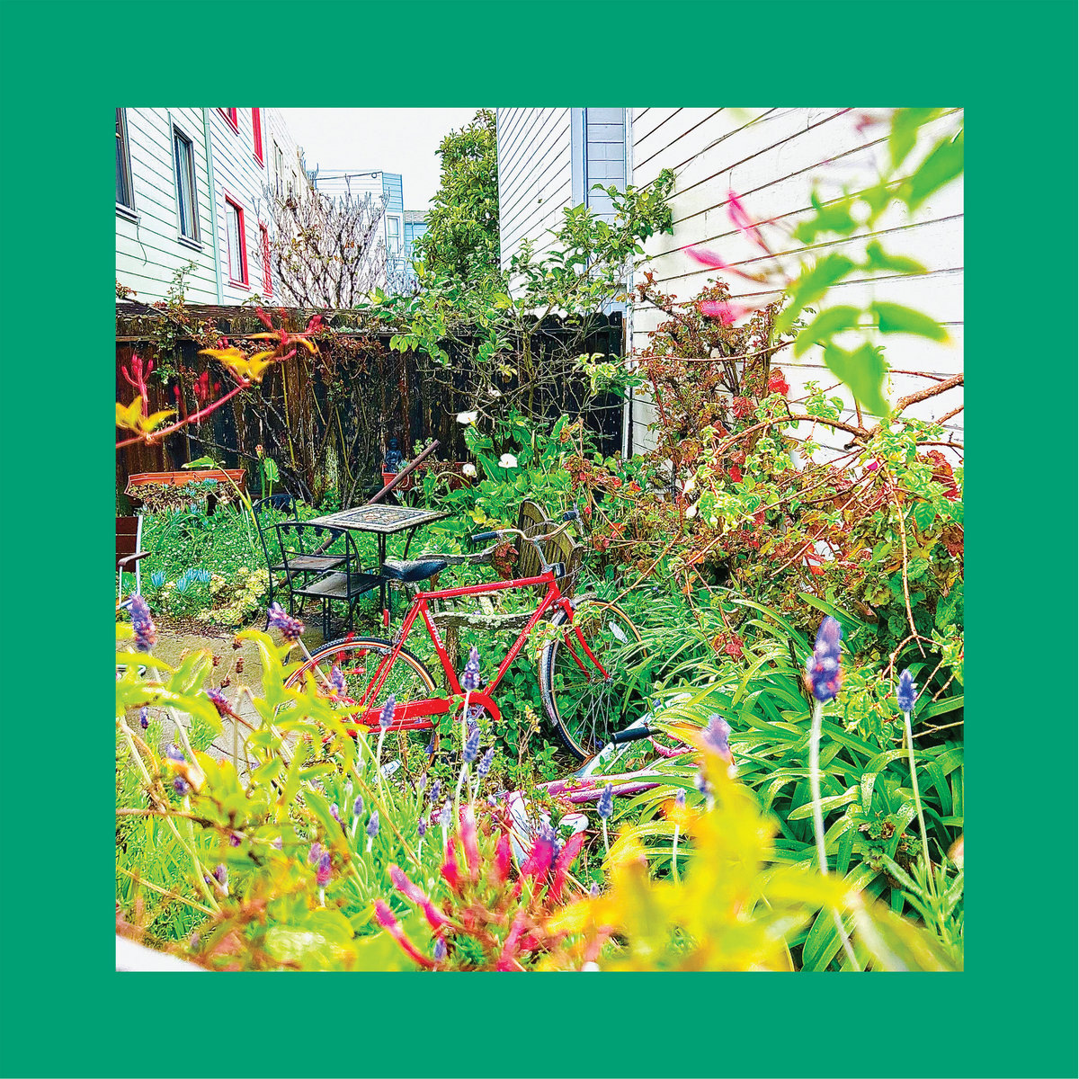 The Reds, Pinks and Purples «Unwishing Well» (p) 2024