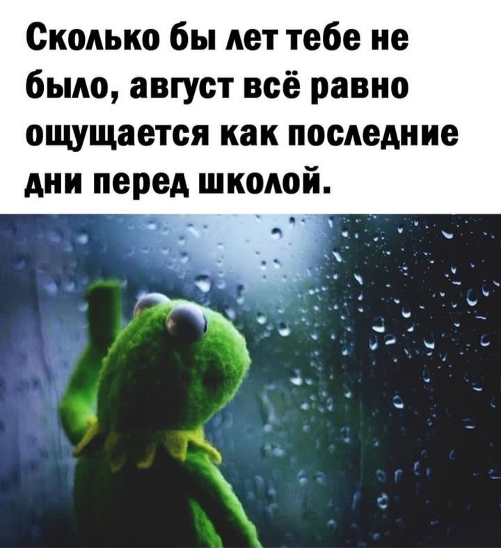 Фото из открытых источников.