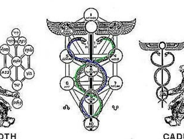 Добавьте описание