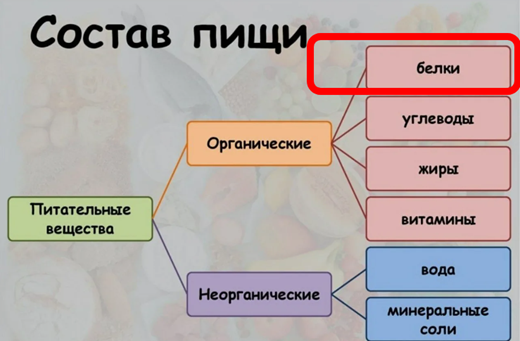 Белковая недостаточность