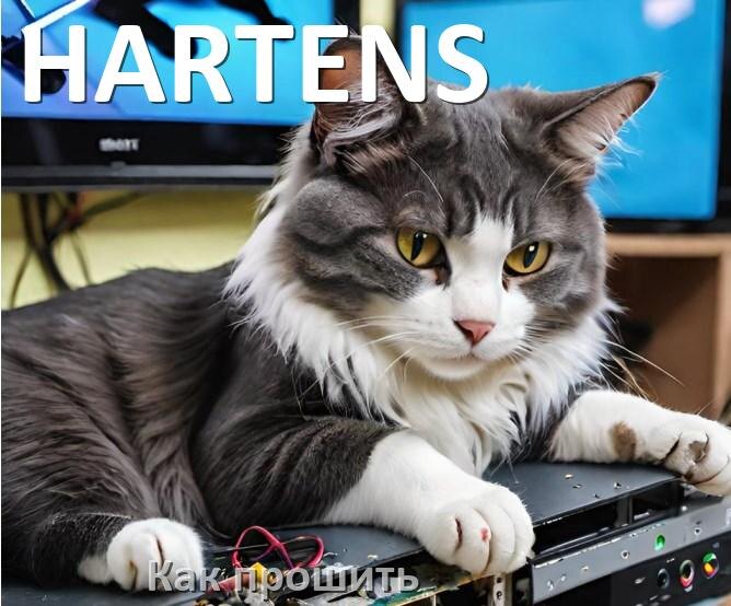 
Как обновить прошивку телевизора HARTENS с помощью USB флешки и через компьютер