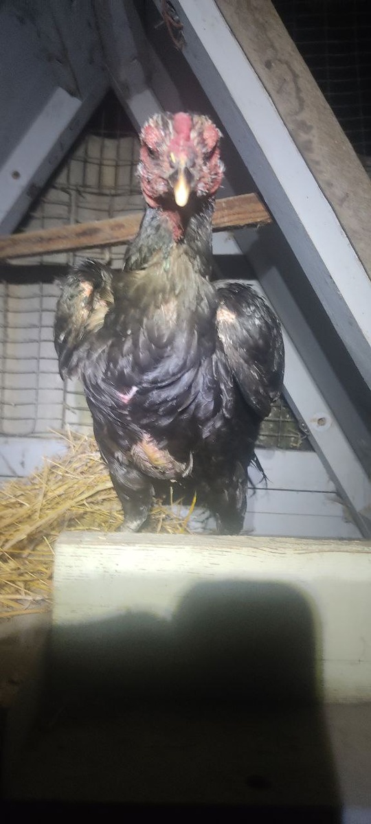 Одна из матерей