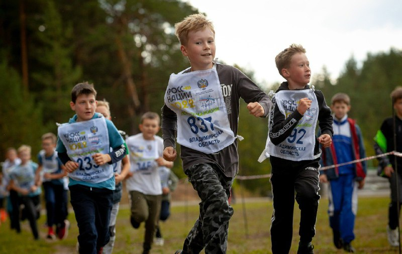  Фото: Правительство Владимирской области