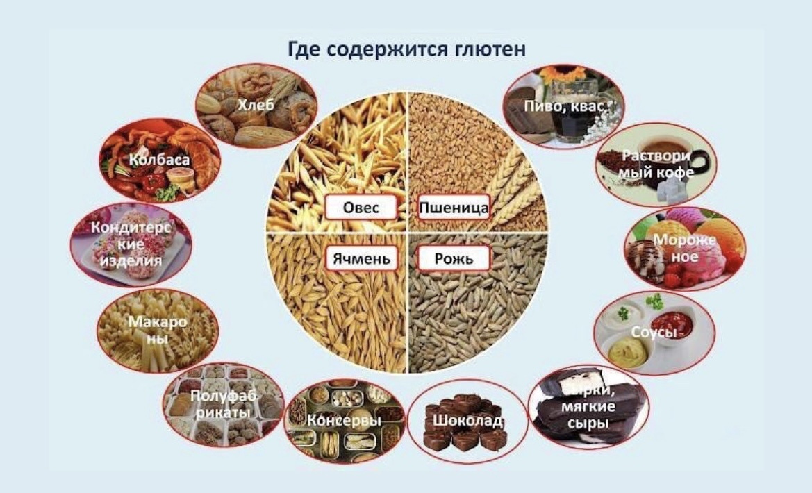 В ячмене есть глютен. Продукты в которых содержится глютен таблица. Еда содержащая глютен. Глютенсодержащие злаки. Таблица продуктов без глютена.