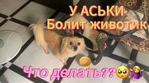 У АСЬКИ болит животик Что делать??🤷‍♀️🥺