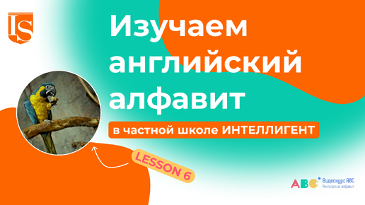 📖6️⃣ Урок 6 Видеокурса ABC английский алфавит 👩‍🏫🔠