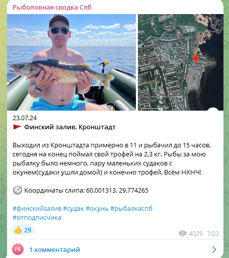 Популярные места для ловли судака находятся в северной стороне Кронштадта, часто маршрут ловли там проходит по фарватеру, который проходит через дамбу.