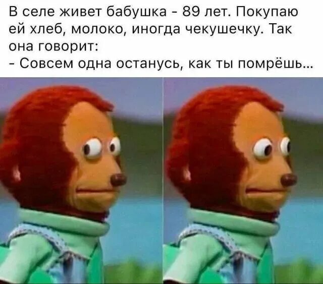 Фото взято из Интернета